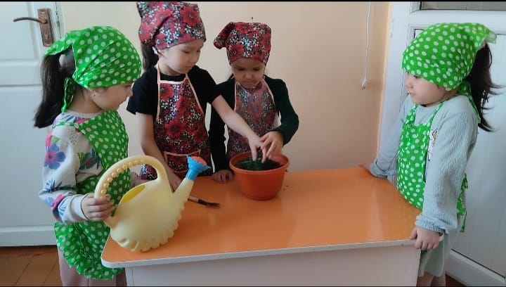 №8 "Сұңқар" мектепалды топ "Табиғат бұрышындағы өсімдіктерді күтіп, баптау"